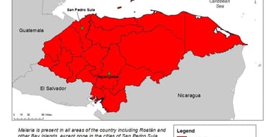 Карта Гандураса з малярыяй